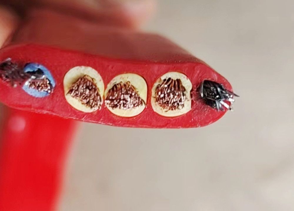 河北電纜線、河間電纜線、圓形扁形動力電纜廠家批發(fā)零售